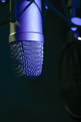 Wall Mural - Professional microphone suspended in the air