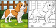 Cavalier King Charles Spaniel Dog Coloring Page