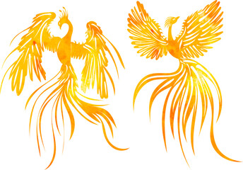 watercolor silhouette phoenix bird isolated, vector