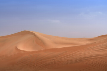 Wall Mural - sand dunes in the desert