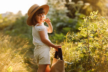 Portrait Of Cute Little Girl Is Smelling Wild Flower And Walks In The Rays Of A Sunset In A Flowering Meadow, Enjoying The Summer, Warmth, Freedom. Child In Mommys Big Straw Hat Having Fun Outdoors