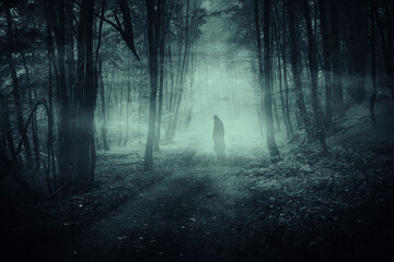 Wall Mural - scary ghost in dark mysterious forest