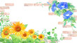 © Keiko Takamatsu - 夏の花。ヒマワリとアサガオとレンガの装飾フレーム。水彩イラスト。（透過背景）