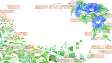 レンガの壁を背景にしたグリーンの草花と、アサガオの水彩イラスト。装飾フレーム。（透過背景）