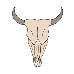 Vector hand drawn doodle sketch colored cow bull skull isolated on white background