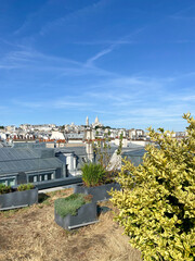 Poster - Paysage urbain, vue depuis un toit à Paris