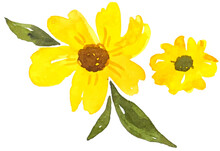 Yellow Flower Watercolor
