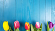 © Natalia - tulips of different bright colors on a wooden blue background. beautiful spring flowers for congratulations