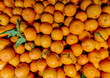 Stacks of mandarin oranges