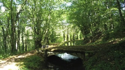 Poster - Rivière dans la forêt en Bourgogne