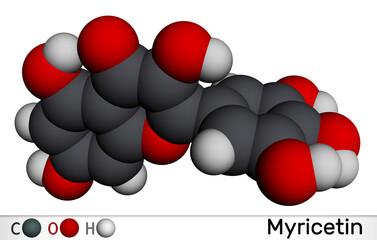 Sticker - Myricetin molecule. It is natural product, flavonoid. Molecular model. 3D rendering