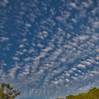 Sky and clouds . Copy Space. Cobbled looking clouds in the sky. Stock Image.