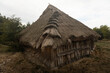thatched roof house