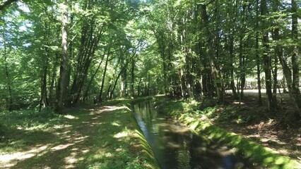 Sticker - Rivière dans un sous bois en Bourgogne