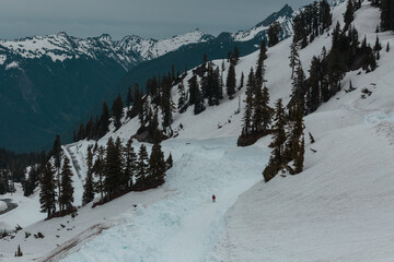 Wall Mural - Mt Baker Area