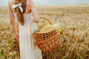 Ripe wheat ears in wicker basket in woman hands walking in wheat field. Harvest concept.