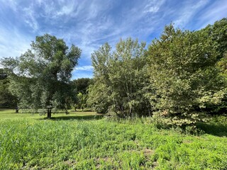 Slavonian pastures and mixed forest in the area of the significant landscape of Sovsko lake - Caglin, Croatia (Slavonski pašnjaci i miješana šuma na području značajnog krajolika Sovsko jezero)