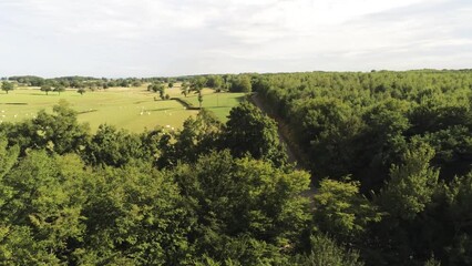 Poster - Paysage rural dans la Nièvre, vue aérienne, Bourgogne