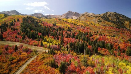 Canvas Print - Bright Autumn foliage at Snow Basin in Utah near Mt. Ogden.