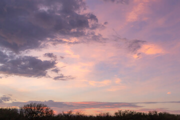 Wall Mural - dramatic pink and purple sunset on woodlawn lake san antonio texas
