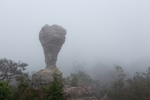 The Strange Stone ( Look Like A Trophy Cup ) With Mist In The Morning At Pa Hin Ngam National Park . Chaiyaphum , Thailand .