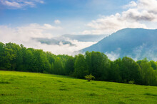 Green And Blue Landscape In Mountains. Grassy Meadow And Forest On The Hill. Fog In The Valley And Clouds On The Sky. Peaceful Sunny Morning In Transcarpathia