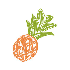 Pineapple fruit sketch. Color vector illustration. Pen or marker doodle drawing