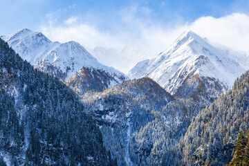 Wall Mural - Snow capped mountain peaks in the alps wilderness