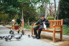 Elderly Man Feeding Pigeons In Park