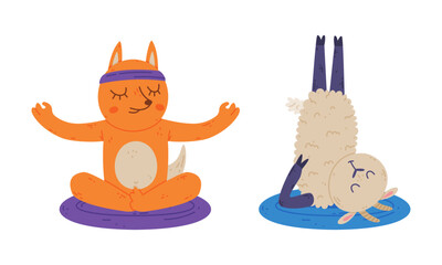 Sticker - Cute animals doing yoga. Fox and sheep performing various asanas set cartoon vector illustration