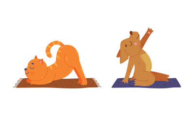 Canvas Print - Cute animals doing yoga. Cat and dog performing yoga asanas set cartoon vector illustration