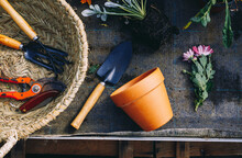 Gardening Tools And Flowers With Soil