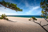 Fototapeta Fototapety z morzem do Twojej sypialni - Baltic Sea. Beautiful beach, coast and dune on the Hel Peninsula. Piękne plaże półwyspu helskiego z widokiem na wydmę, roślinność wydmową, piasek i morze bałtyckie. 
