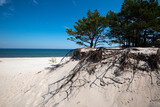 Fototapeta Fototapety z morzem do Twojej sypialni - Baltic Sea. Beautiful beach, coast and dune on the Hel Peninsula. Piękne plaże półwyspu helskiego z widokiem na wydmę, roślinność wydmową, piasek i morze bałtyckie.  Okolice Helu i Juraty 
