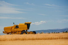 Combine Harvester Working In A Cereal Field