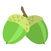Two Green Acorns On White Background. Cartoon Style Illustration Of Oak Acorns.