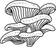 doodle freehand sketch drawing of oyster mushroom vegetable.