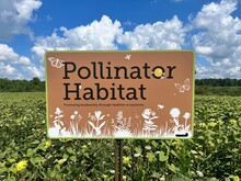 Pollinator Habitat Sign 