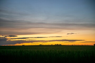 Canvas Print - Scenic view of a green agricultural field under the beautiful sunset sky