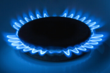 Wall Mural - natural gas, gas burner with blue flame close up soft selective focus