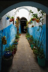 Sticker - Medieval blue alley with plant pots in Tetouan, Morroco, vertical shot