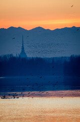 Turin (Torino) beautifu view with Mole Antonelliana and river Po (1)