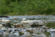 Closeup Shot Of Rocks Lying In A Shallow Part Of A River With A Blur Background Of Green Bushes