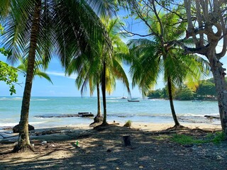 Poster - View from the beach to the palms and the ocean on sunny weather in Costa Rica, Central America.