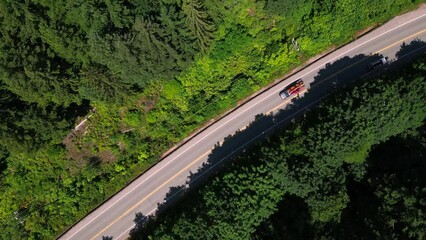 Poster - Aerial view of cars on Pacific Rim Highway in Vancouver Island, BC, Canada