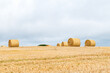 Freshly made hay rolls or bales in field during harvest season in cloudy day