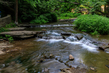 Wall Mural - stream in the forest