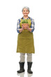 © Syda Productions - gardening, farming and old people concept - smiling senior woman in green garden apron with flower in pot over white background