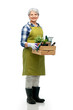 © Syda Productions - gardening, farming and old people concept - portrait of smiling senior woman in green apron holding wooden box with garden tools over white background