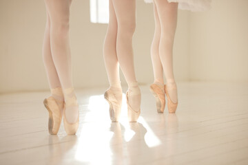 Canvas Print - Ballet, dance and toe shoes with a dancer, ballerina and performance artist in a studio for training, practice and rehearsal. En pointe, technique and skill with artistic dancing and movement